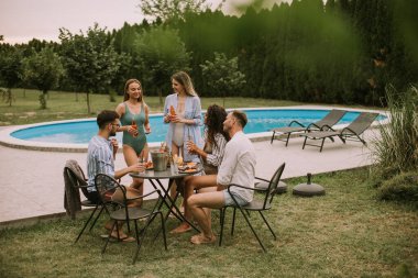 Group of happy young people cheering with cider by the pool in the garden