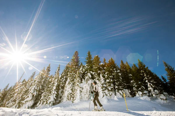 Ensam Ung Hona Njuter Solig Vinterdag Skidåkning Klädd Full Snöutrustning — Stockfoto