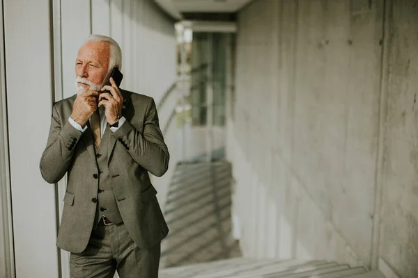 Senior Business Man Stands Office Hallway Focused His Mobile Phone Stock Photo