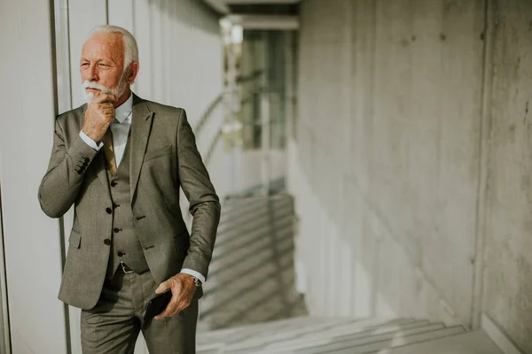 Senior Business Man Stands Office Hallway Focused His Mobile Phone — Fotografia de Stock