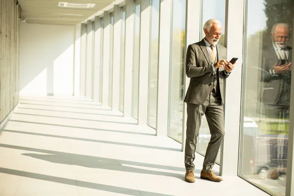 Senior Business Man Stands Office Hallway Focused His Mobile Phone lizenzfreie Stockbilder