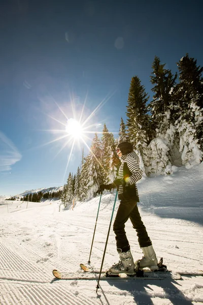 年轻女子在雪地上享受着冬日的滑雪 雪地上覆盖着山坡 四周长满了高大的树木 穿着寒冷的衣服 — 图库照片