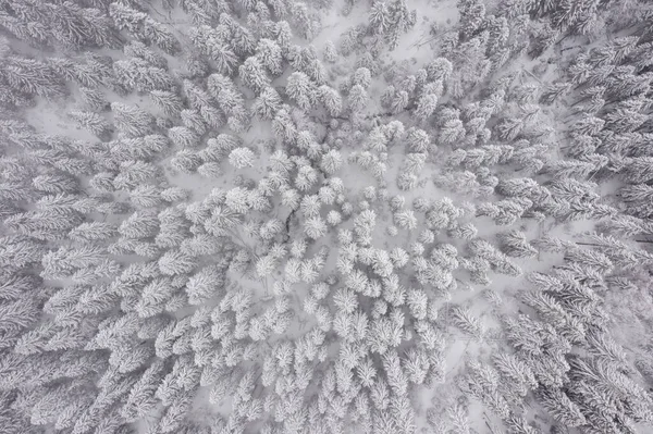 多雪的冬天俯瞰高山 — 图库照片