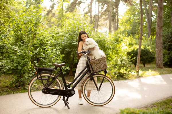 Güzel Genç Bir Kadın Elektrikli Bisiklet Sepetine Beyaz Bisküvi Friz — Stok fotoğraf