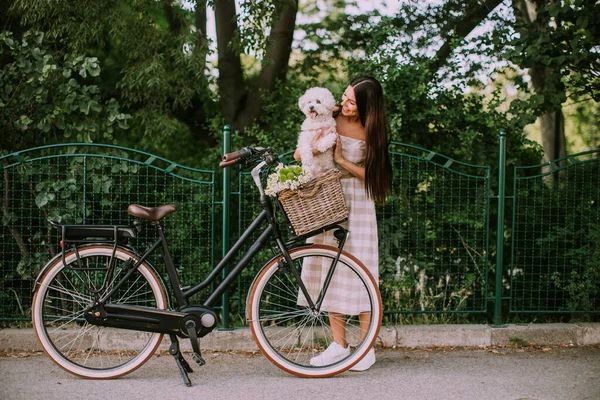 Mooie Jonge Vrouw Zetten Witte Bichon Frise Hond Mand Van — Stockfoto