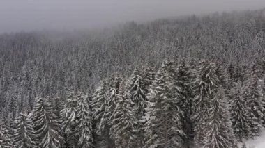 Karlı kışta dağda drone manzarası