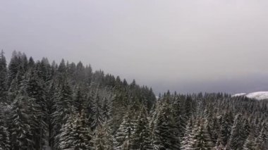 Karlı kışta dağda drone manzarası