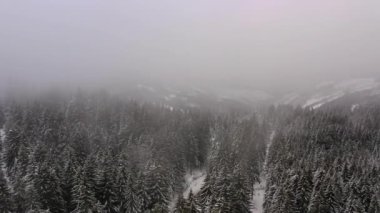 Karlı kışta dağda drone manzarası