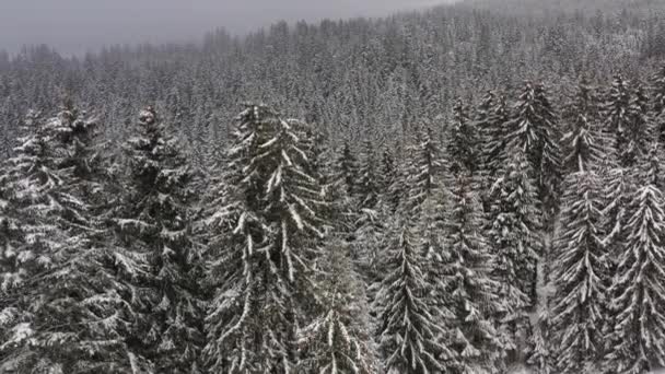 Drone Uitzicht Berg Besneeuwde Winter — Stockvideo