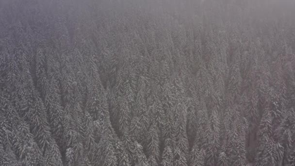 Drohnenblick Auf Den Berg Verschneiten Winter — Stockvideo