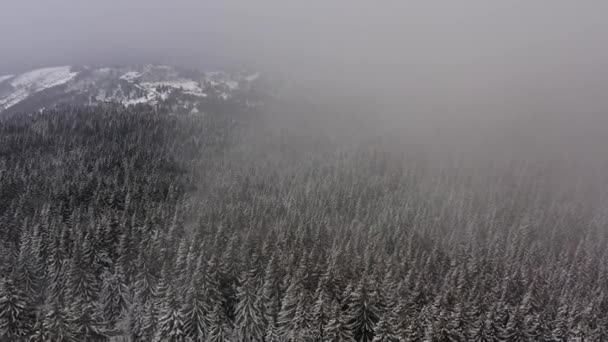 Drone Uitzicht Berg Besneeuwde Winter — Stockvideo