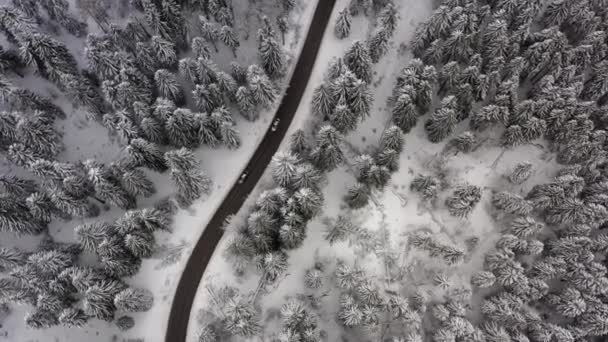 Drone Vista Carretera Montaña Invierno Nevado — Vídeos de Stock