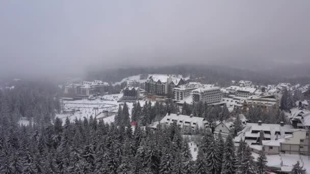 Drohnenblick Auf Den Berg Verschneiten Winter — Stockvideo