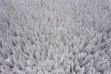 Karlı kışta dağda drone manzarası