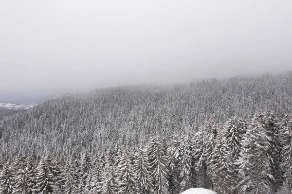 Drönare Utsikt Över Berget Snöig Vinter — Stockfoto