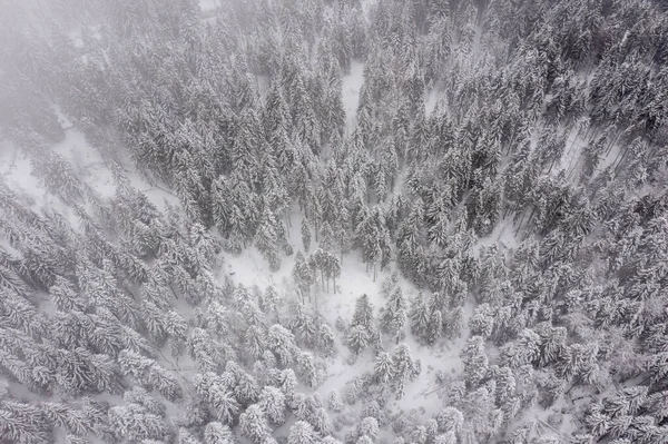 Вид Горы Снежную Зиму — стоковое фото