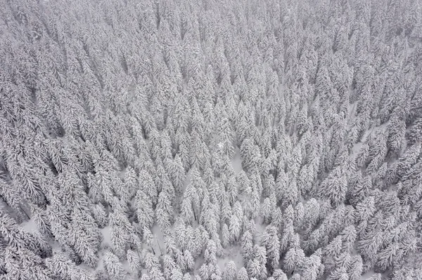 Drone View Mountain Snowy Winter — Stock Photo, Image