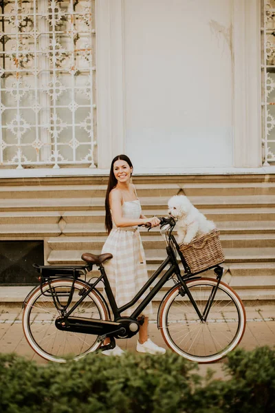 Hübsche Junge Frau Mit Weißem Bichon Frise Hund Korb Des — Stockfoto
