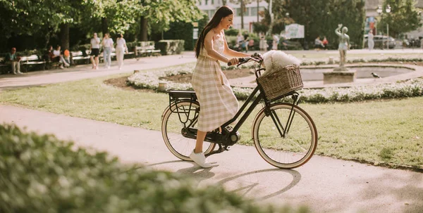 Mujer Joven Bonita Con Perro Blanco Bichon Frise Cesta Bicicleta — Foto de Stock