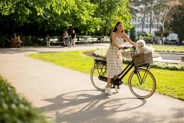 Elektrikli Bisiklet Sepetinde Beyaz Bichon Friz Sosisli Güzel Bir Kadın — Stok fotoğraf