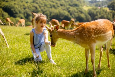 Cute little girl among reindeer herd on the sunny day