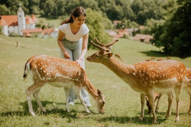 Cute little girl among reindeer herd on the sunny day