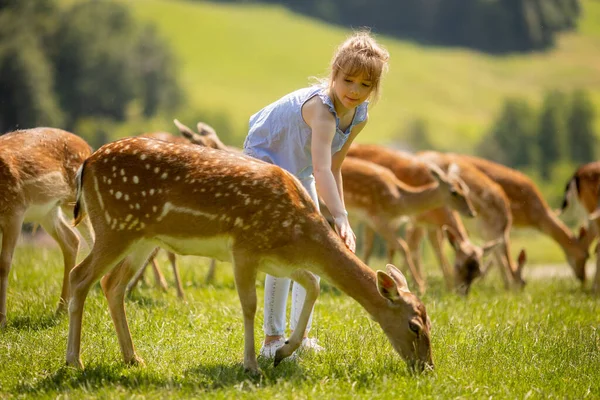 Cute Little Girl Reindeer Herd Sunny Day — Photo