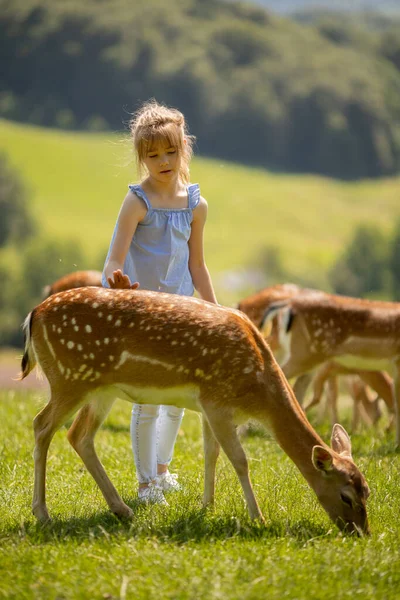Cute Little Girl Reindeer Herd Sunny Day — Stockfoto