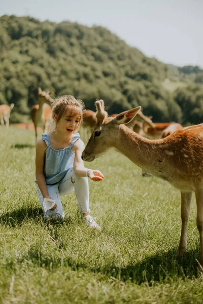 Cute Little Girl Reindeer Herd Sunny Day — Foto de Stock