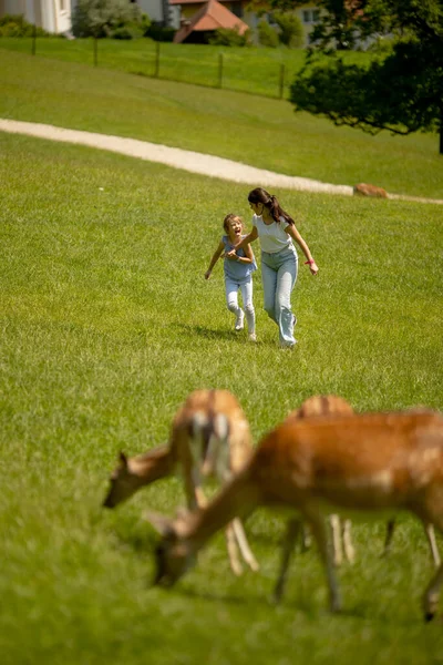 Two Little Girls Running Reindeer Herd Sunny Day — Stockfoto