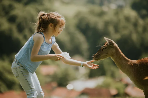 Cute Little Girl Reindeer Herd Sunny Day — Stok fotoğraf