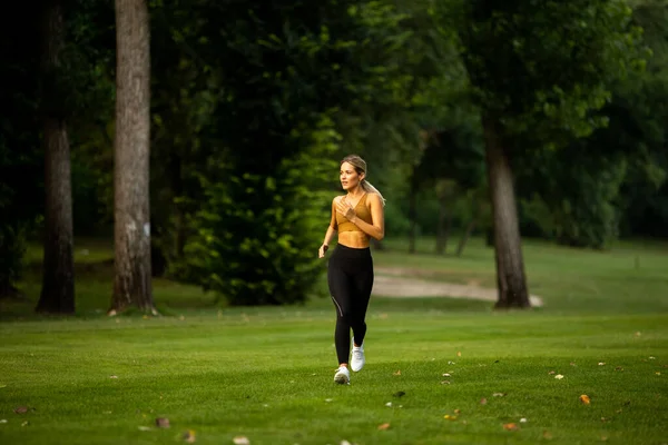 Досить Молода Жінка Біжить Парку — стокове фото
