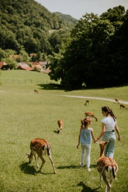 Two cute little girls walking among reindeer herd on the sunny day