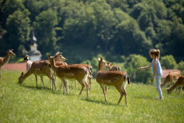 Cute little girl among reindeer herd on the sunny day