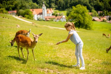 Cute little girl among reindeer herd on the sunny day