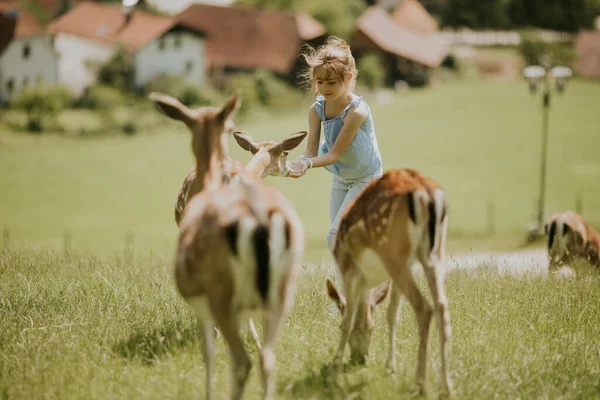 Cute Little Girl Reindeer Herd Sunny Day — 图库照片