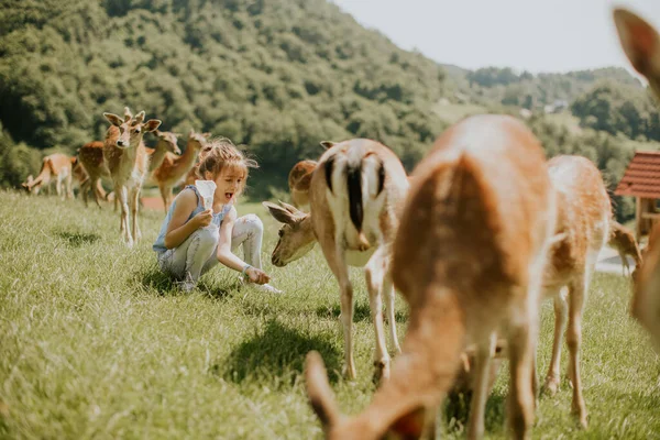 Cute Little Girl Reindeer Herd Sunny Day — Foto Stock