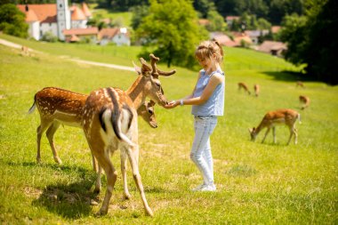Cute little girl among reindeer herd on the sunny day