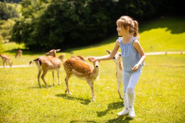 Cute little girl among reindeer herd on the sunny day