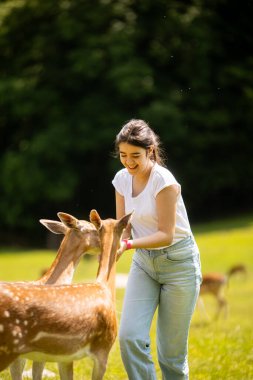 Cute little girl among reindeer herd on the sunny day