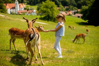 Cute little girl among reindeer herd on the sunny day