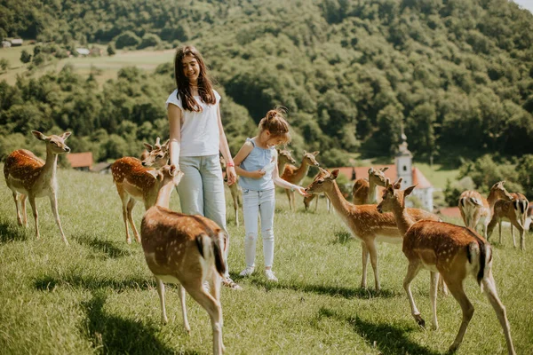 阳光灿烂的日子里 驯鹿群中的两个可爱的小女孩 — 图库照片