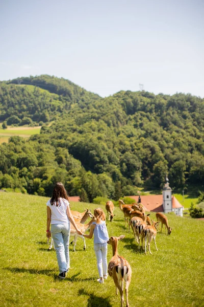 Two Cute Little Girls Walking Reindeer Herd Sunny Day — ストック写真