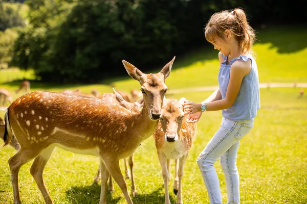 Cute Little Girl Reindeer Herd Sunny Day — стоковое фото