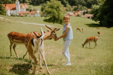 Cute little girl among reindeer herd on the sunny day