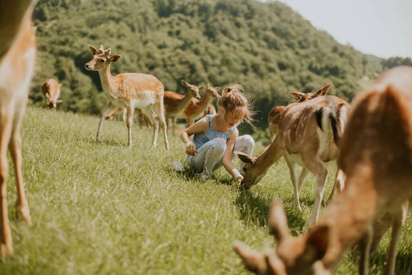 Cute Little Girl Reindeer Herd Sunny Day — ストック写真