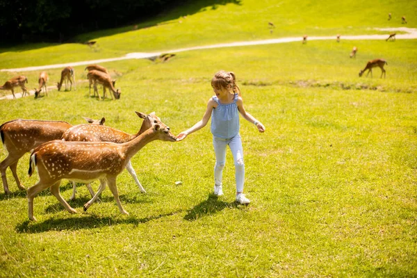 Cute Little Girl Reindeer Herd Sunny Day — Stock fotografie