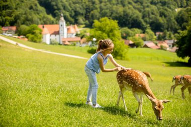 Cute little girl among reindeer herd on the sunny day