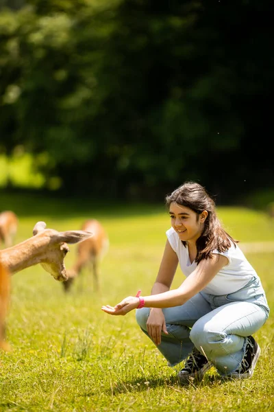 Cute Little Girl Reindeer Herd Sunny Day — ஸ்டாக் புகைப்படம்
