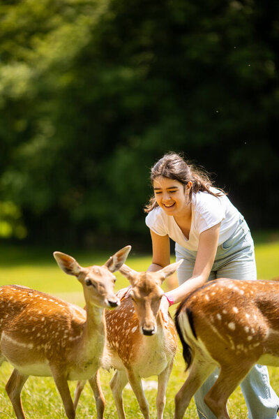 Cute little girl among reindeer herd on the sunny day
